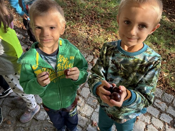 Sbírání kaštanů ve Věžkách