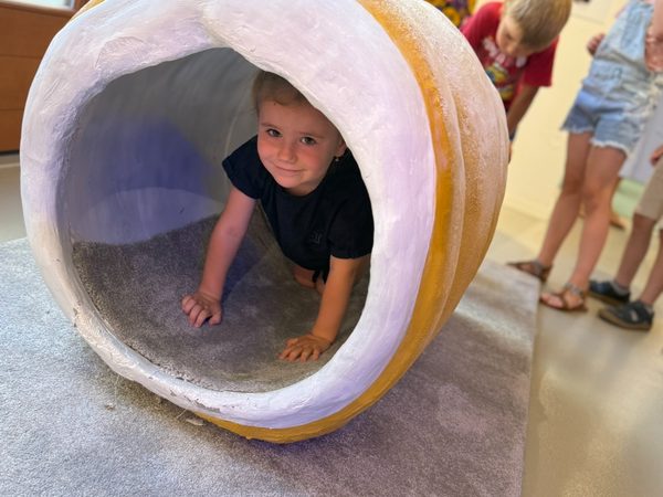 Muzeum Kroměřížska: Macourek králem fantazie