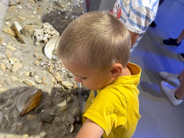 Muzeum Kroměřížska: Macourek králem fantazie
