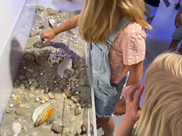 Muzeum Kroměřížska: Macourek králem fantazie